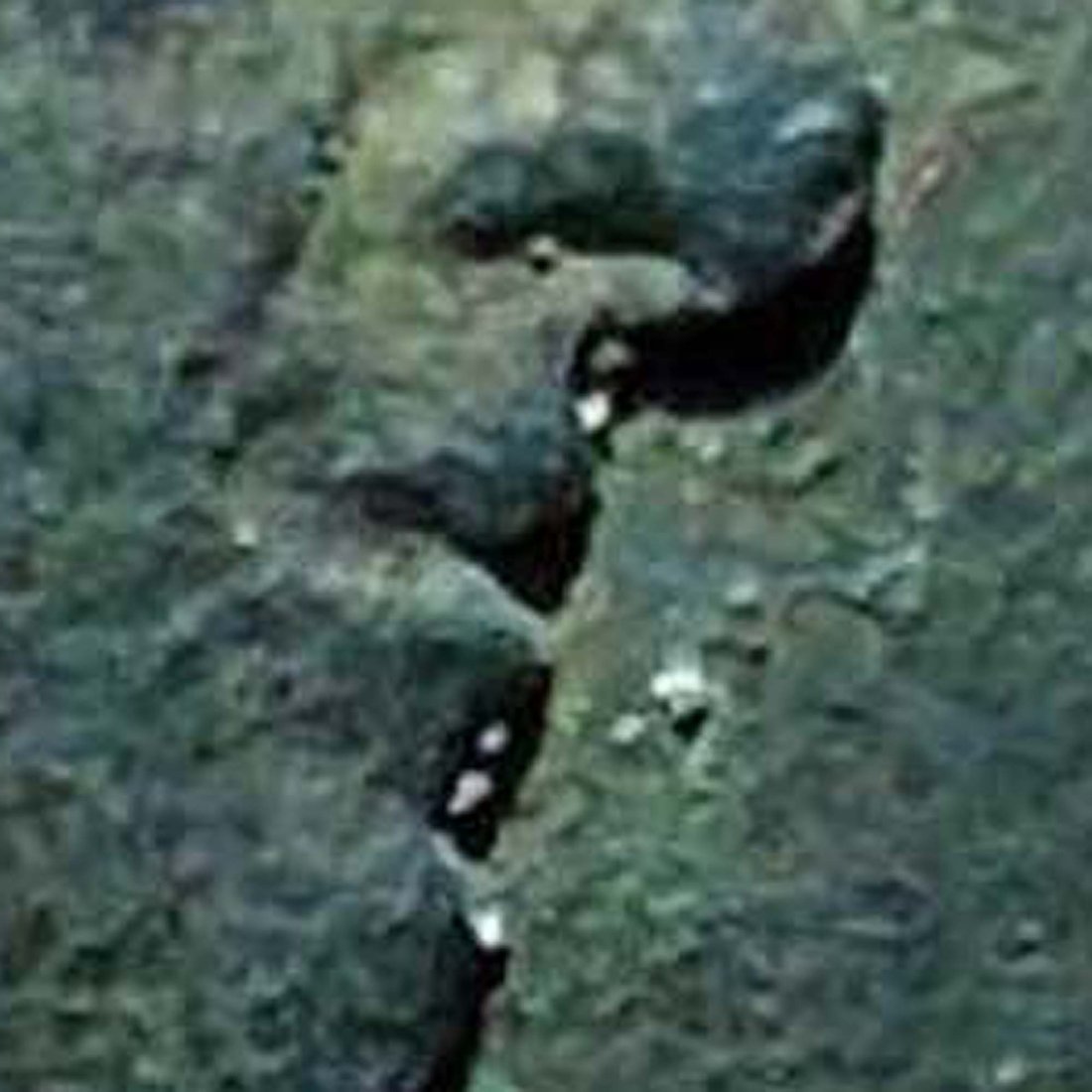 1786-MO-8-Reales---Is-This-A-Good-Candidate-For-NCS-Or-Not?
